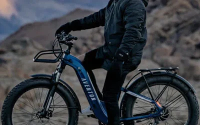 AVENTON Aventure.2 Step-Through Ebike
