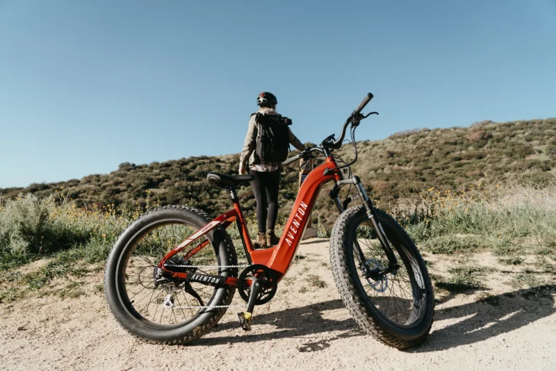 AVENTON Aventure Step-Through Ebike - Image 17