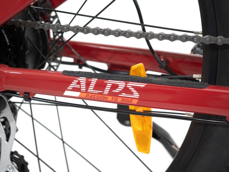 ALPS 2024 - Image 4