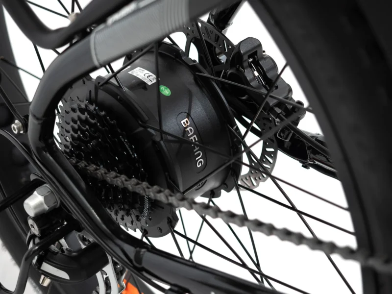 WESTRIDGE 4T 2024 - Image 3