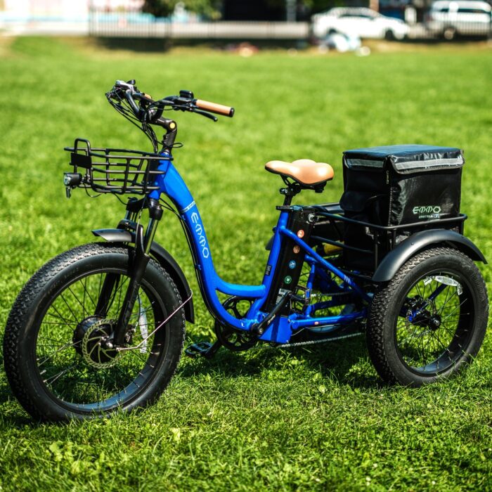 ELECTRIC TRIKES