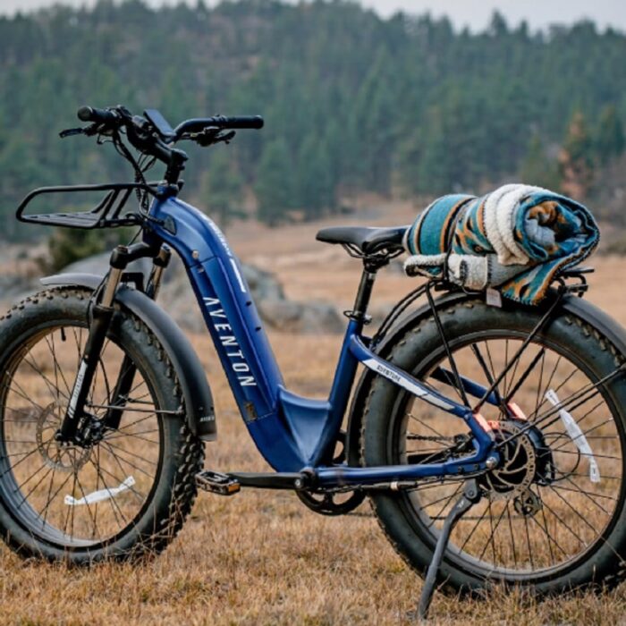 BICYCLE STYLE EBIKES
