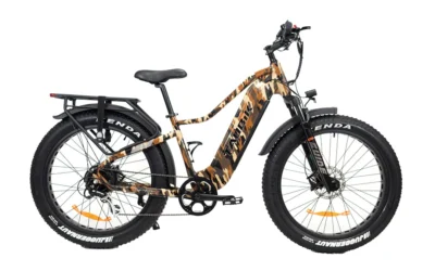 WESTRIDGE 4T 2024