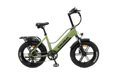 ASPECT 2024