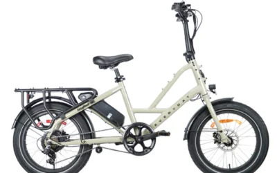EASY-HAUL ELECTRIC CARGO BIKE
