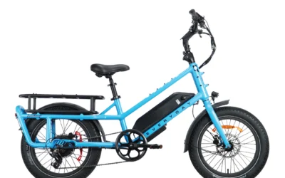 EVEREASY ELECTRIC CARGO BIKE