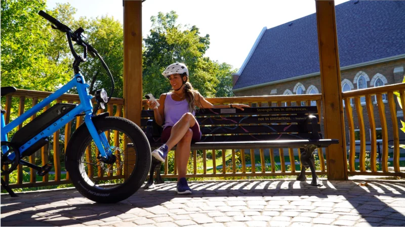 EVEREASY ELECTRIC CARGO BIKE - Image 11
