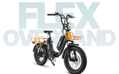 Flex Overland (Foldable Cargo ebike)