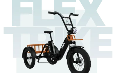 Flex Trike (Foldable)